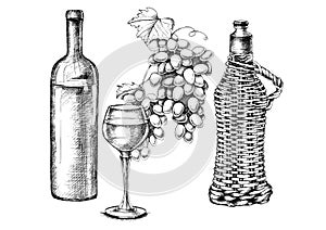 Set of grapes, wine with hand-drawing style