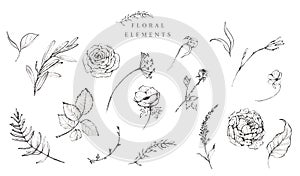 Set of graphic black & white floral illustrations - individual isolated floral elements