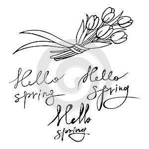 A set of graphic inscriptions `hello, spring` with a bouquet of tulips.