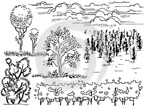 Set of graphic line Illustration , the entourage of trees on a white background