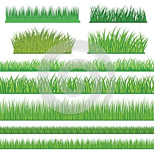 a set of grass rows. Vector illustration decorative design