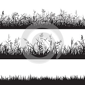 Set of grass seamless borders. Black silhouette of grass, spikes and herbs. Vector. photo