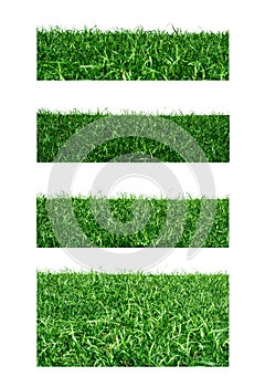 Set grass on white background. Saved with clipping path.