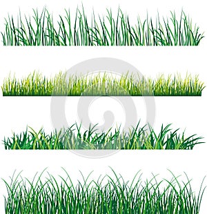 Grass photo