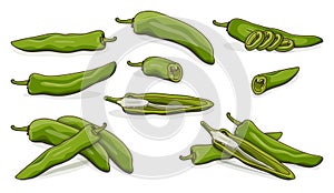 Set of Green anaheim peppers. Cartoon style.