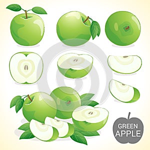 Set of green apple fruit in various styles vector format