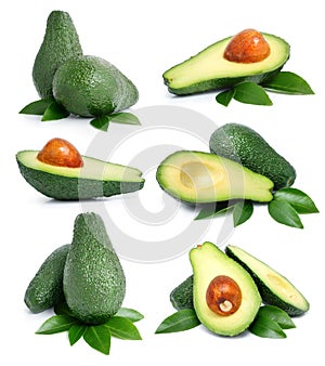 Set of green avocado fruits with leaf