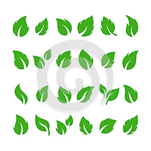 set of green botanical leaves vector illustration