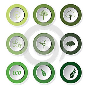 Set of green eco leaf round buttons, vector