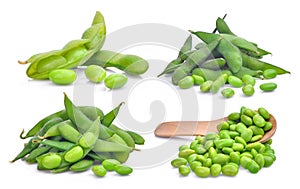 Set of green edamame beans isolated on white photo