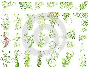 Set of green floral design elements