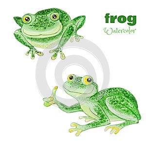 Set of green frog with bulging eyes isolated on a white background