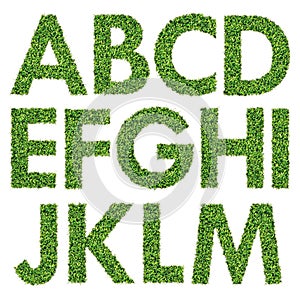 Set of Green Grass Alphabet