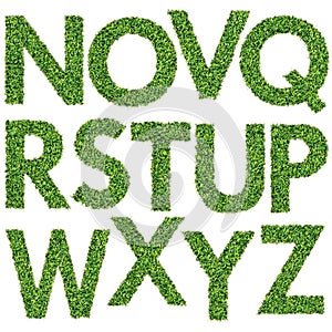 Set of Green Grass Alphabet