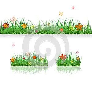 Set Green Grass Borders with colorful flowers and butterflies. Vector Illustration. Summer, plant, eco and natural, growth or fres