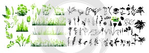 Set of green grass elements. Vector illustration