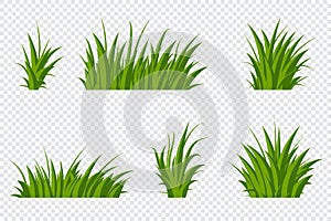 Set of green grass. Grass bushes of different shapes. Hand drawn grass. Green grass. Vector illustration