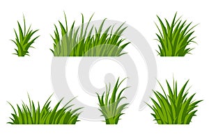 Set of green grass. Grass bushes of different shapes. Hand drawn grass. Green grass. Vector illustration