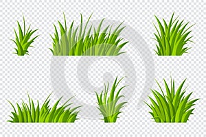 Set of green grass. Grass bushes of different shapes. Hand drawn grass. Green grass. Vector illustration