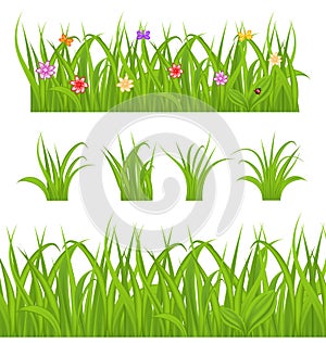 Set green grass isolated on white background