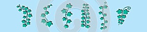 Set of green ivy cartoon icon design template with various models. vector illustration isolated on blue background