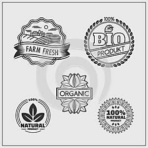 Set of green labels and badges for organic, eco and bio products on black background.