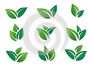 set green leaf icon eco. green leaves plant nature garden. icon botanical collection