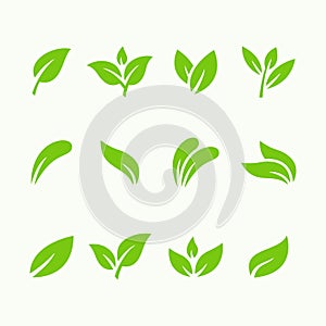 Set of green leaf icon vector illustration