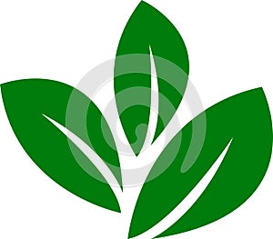 Set of green leaf icons. Eco, bio, natural, vegan icon. Vector illustration.