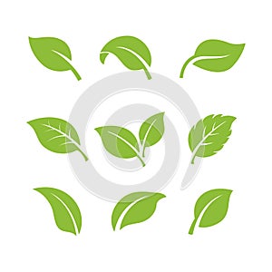 set of green leaves element vector icon. green leaf vector symbol illustration