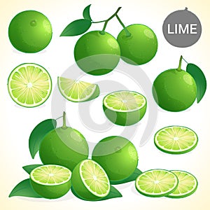 Set of green lime in various styles vector format