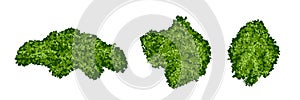 Set of green moss islands or forest lichen with realistic texture isolated on white background