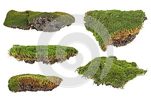 Set of green moss isolated on white background
