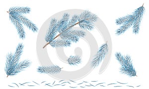 Set Green pine branch. Fir tree branch. Vector