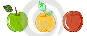 Set of green, red, yellow apples icon illustration. Idea for damask, paper, templates, summer holidays, natural fruit themes.