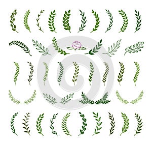 Set of green silhouette tree branches with laurel, oak and olive foliate. Vector illustration for your frame, border, ornament