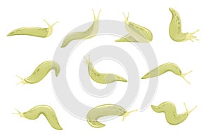 Set of green slug cartoon animal design flat vector illustration isolated on white background photo