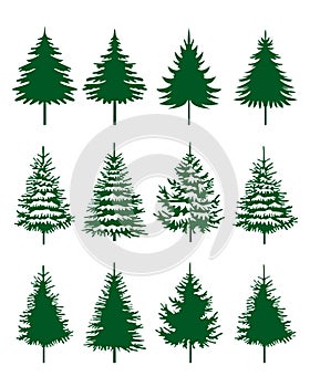 Set green Spruce Trees. Winter season design elements and simply pictogram. Isolated vector Christmas Tree Icons and Illustration