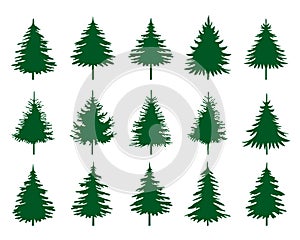 Set green Spruce Trees. Winter season design elements and simply pictogram. Isolated vector Christmas Tree Icons and Illustration