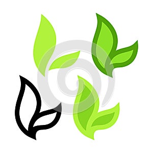 Set of Green Tea Leaves on white - Vector Icons