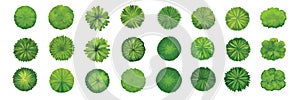 Set of green trees or bushes, top view, isolated on white background for landscape or architecture plan. Design elements