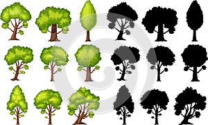 Set of green trees in different shapes and sillhouette on white background