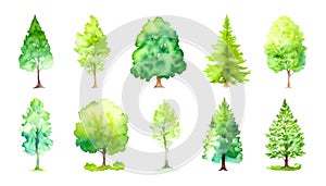 Set Of Green Trees Isolated On White. Different kinds of tree - Watercolor Collection, for design
