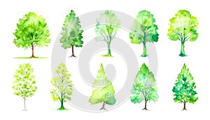 Set Of Green Trees Isolated On White. Different kinds of tree - Watercolor Collection, for design
