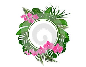 Set. Green tropical leaves of banana, coconut, monstera and ogawa. Pink Orchid. In a circle place for ads, advertising