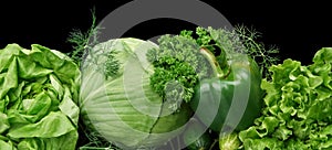 Set of green vege-cabbage,lettuce,bell pepper,dill on black at the bottom