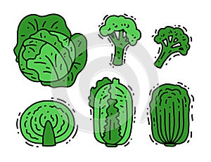 Set of green vegetables. Vegan healthy vegetables. Vector cartoon illustration of different types of cabbage