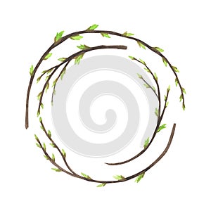 Set green willow branch watercolor isolated on white. Hand drawn Easter illustration. Art for design flowering, spring