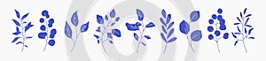 Set of greenery silhouette floral branch, leaf, plants. Botanic delicate blue foliage leaves