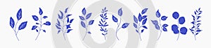 Set of greenery silhouette floral branch, leaf, plants. Botanic delicate blue foliage leaves